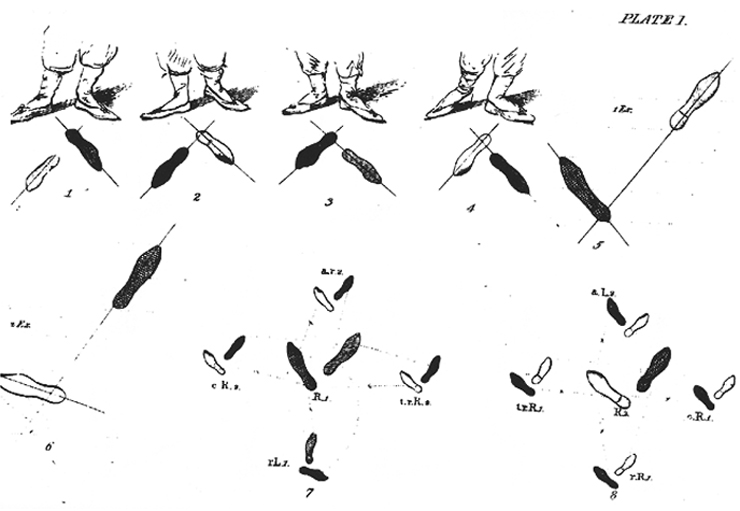 Plate I Figs. 1-8